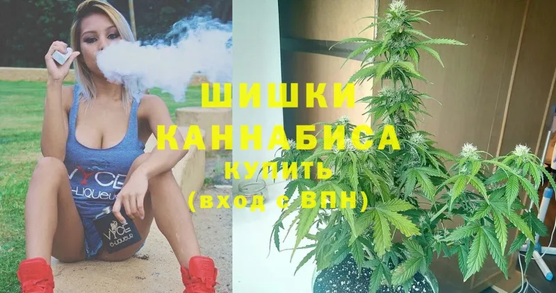 Бошки марихуана SATIVA & INDICA  купить  цена  Онега 